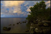 Biscayne Bay shoreline at night, Convoy Point. Biscayne National Park, Florida, USA.