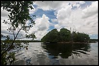 Mangrove islet, Biscayne Bay. Biscayne National Park, Florida, USA. (color)