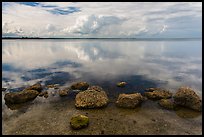 Rocks and Biscayne Bay reflections. Biscayne National Park ( color)