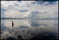 Park visitor looking, standing in glassy Biscayne Bay. Biscayne National Park ( color)