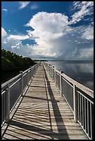 Boardwalk and Biscayne Bay, Convoy Point. Biscayne National Park, Florida, USA. (color)