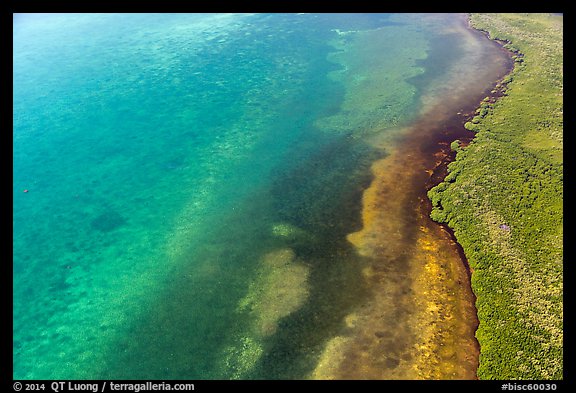Aerial view of reef, shoal, coastline, and forest. Biscayne National Park (color)