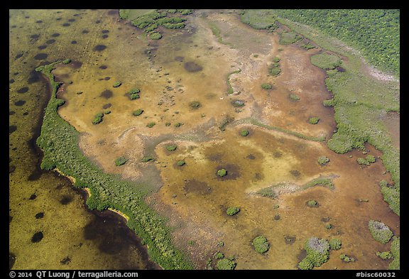 Aerial view of Mangrove islands in Jones Lagoon. Biscayne National Park (color)