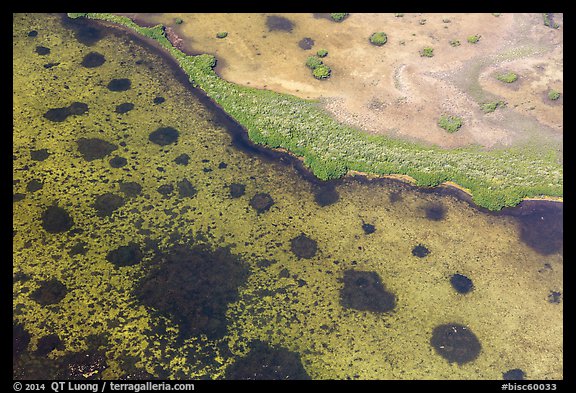Aerial view of seagrass in Jones Lagoon. Biscayne National Park (color)