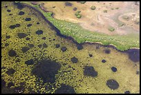 Aerial view of seagrass in Jones Lagoon. Biscayne National Park ( color)