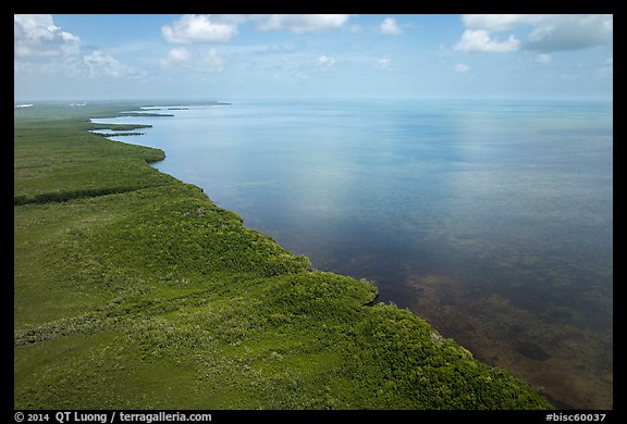 Aerial view of mainland mangrove coast. Biscayne National Park (color)