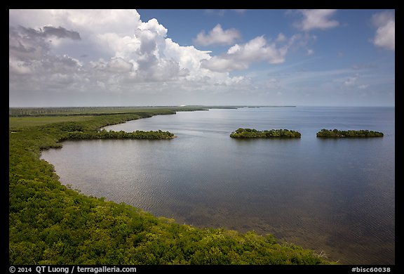 Aerial view of mainland coast near Convoy Point. Biscayne National Park (color)