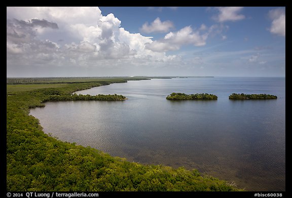 Aerial view of mainland coast near Convoy Point. Biscayne National Park, Florida, USA.