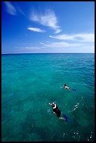 Snorkelers over a coral reef. Biscayne National Park, Florida, USA.