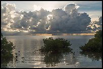 Honeywell estate interpretive sign, Boca Chita Key. Biscayne National Park ( color)