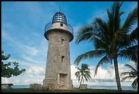 Palm tree and lighthouse, Boca Chita Key. Biscayne National Park, Florida, USA.