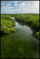 Creek. Biscayne National Park ( color)