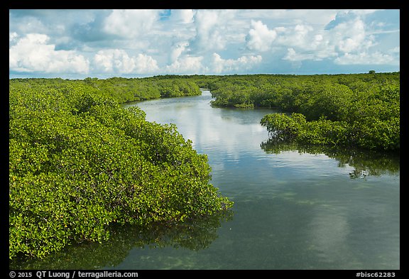 Narrow creek. Biscayne National Park (color)