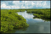 Narrow creek. Biscayne National Park ( color)