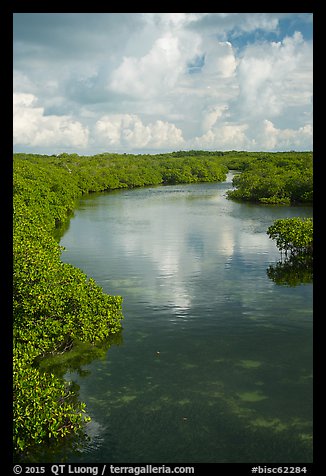 Channel. Biscayne National Park (color)