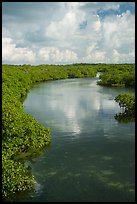 Channel. Biscayne National Park ( color)