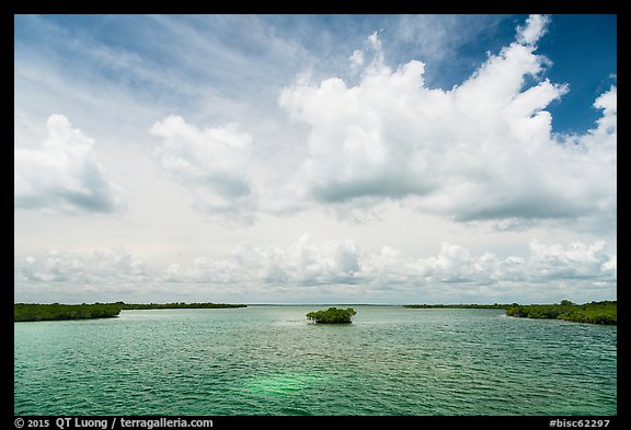 Channel with mangrove islet. Biscayne National Park (color)
