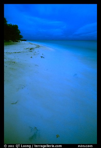 Beach at dusk. Dry Tortugas National Park (color)