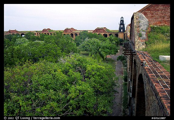 Trees in Fort Jefferson courtyard. Dry Tortugas National Park, Florida, USA.