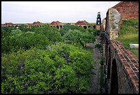 Trees in Fort Jefferson courtyard. Dry Tortugas National Park ( color)