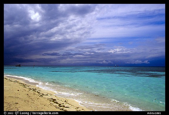 Beach and turquoise waters, Garden Key. Dry Tortugas National Park, Florida, USA.