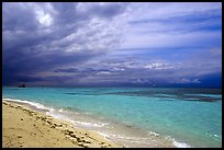 Beach and turquoise waters, Garden Key. Dry Tortugas National Park, Florida, USA.