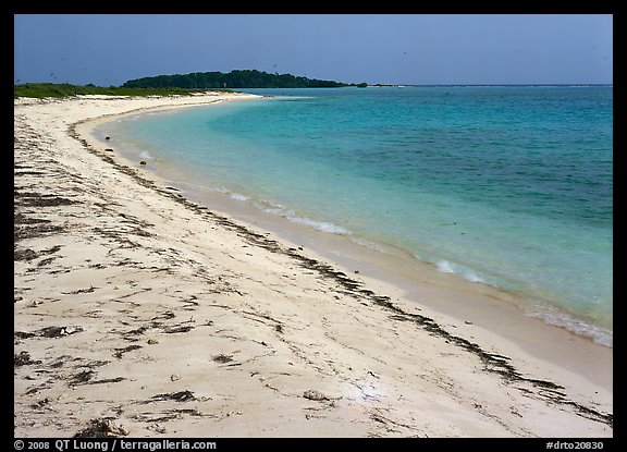 Beach on Bush Key with beached seaweed. Dry Tortugas National Park, Florida, USA.