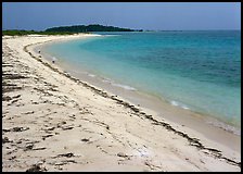 Beach on Bush Key with beached seaweed. Dry Tortugas National Park, Florida, USA. (color)