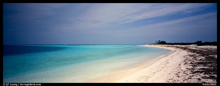 Sandy beach, Bush Key. Dry Tortugas  National Park (color)