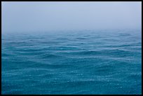 Rain over ocean. Dry Tortugas National Park, Florida, USA. (color)