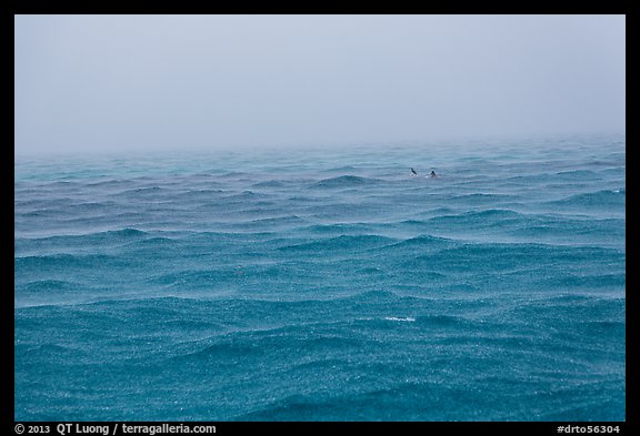 Windjammer wreck sticking out from ocean during rainstorm. Dry Tortugas National Park, Florida, USA.