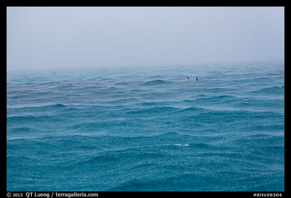 Windjammer wreck sticking out from ocean during rainstorm. Dry Tortugas National Park, Florida, USA.