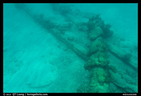 Part of Windjammer wreck on ocean floor. Dry Tortugas National Park, Florida, USA.