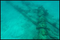 Part of Windjammer wreck on ocean floor. Dry Tortugas National Park, Florida, USA.