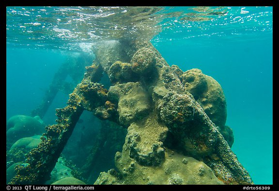 Coral-covered part of Windjammer wreck breaking surface. Dry Tortugas National Park, Florida, USA.