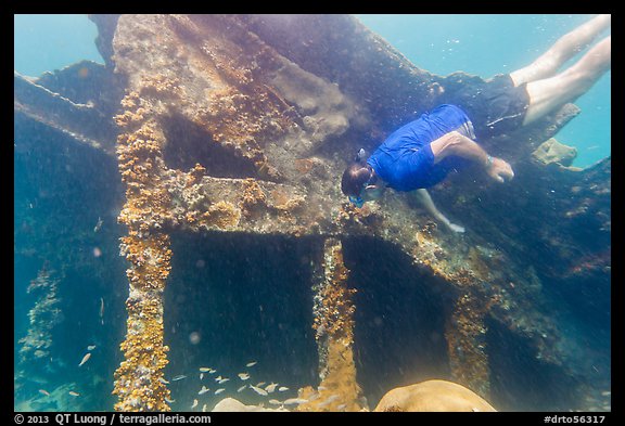 Free diver exploring Windjammer Wreck. Dry Tortugas National Park, Florida, USA.