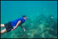 Free diver swimming amidst fish and coral. Dry Tortugas National Park, Florida, USA. (color)