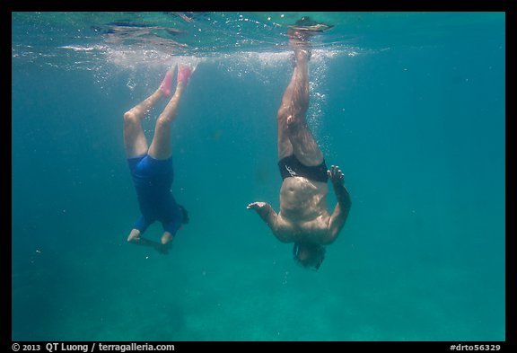 Free divers descending. Dry Tortugas National Park, Florida, USA.