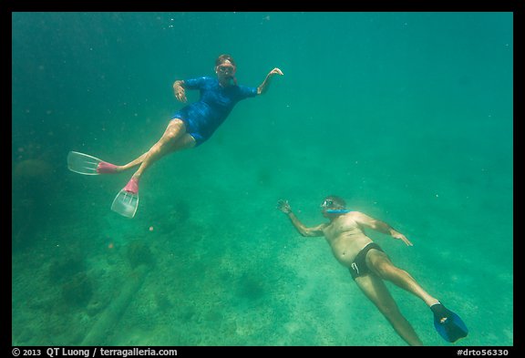 Couple free diving. Dry Tortugas National Park (color)