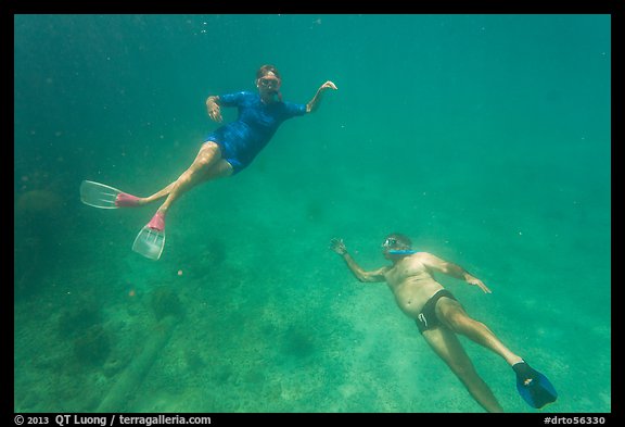 Couple free diving. Dry Tortugas National Park, Florida, USA.