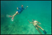 Couple free diving. Dry Tortugas National Park, Florida, USA.