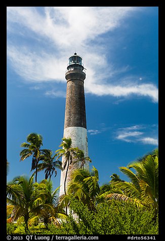 Palm trees and Dry Tortugas Light Station, Loggerhead Key. Dry Tortugas National Park, Florida, USA.