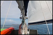 Fort Jefferson seen through sails. Dry Tortugas National Park ( color)