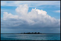 Vegetation-covered Long Key below tropical cloud. Dry Tortugas National Park, Florida, USA. (color)