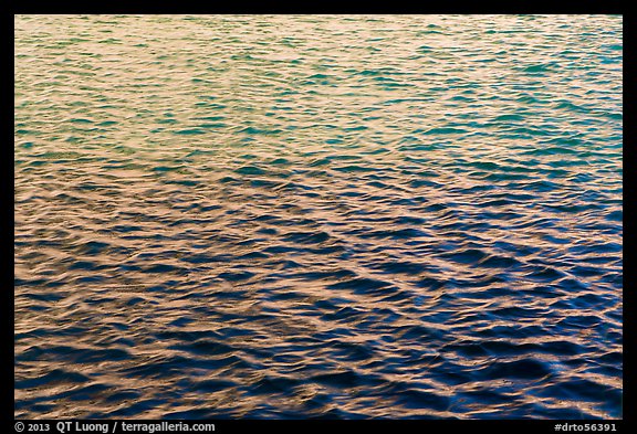 Walls reflections in moat. Dry Tortugas National Park (color)