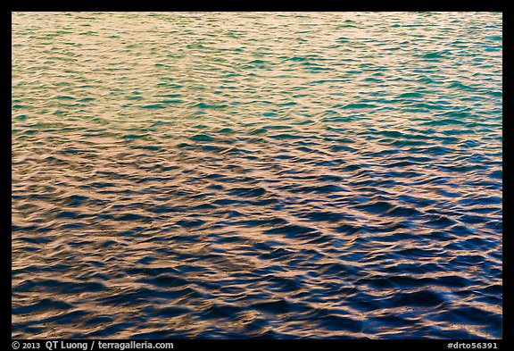 Walls reflections in moat. Dry Tortugas National Park, Florida, USA.