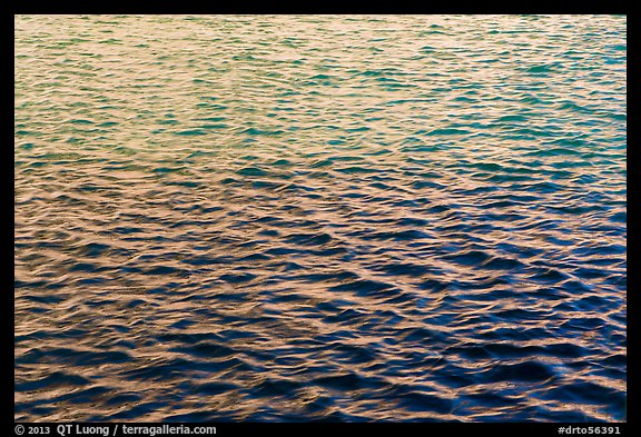 Walls reflections in moat. Dry Tortugas National Park, Florida, USA.