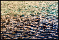 Walls reflections in moat. Dry Tortugas National Park, Florida, USA. (color)