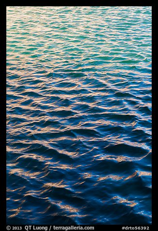 Reflections in moat. Dry Tortugas National Park (color)