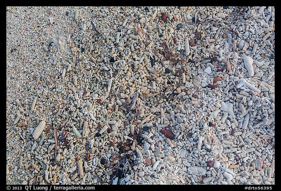 Close-up view of beach, Garden Key. Dry Tortugas National Park (color)